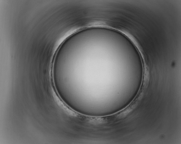 X0000116880957200912291239