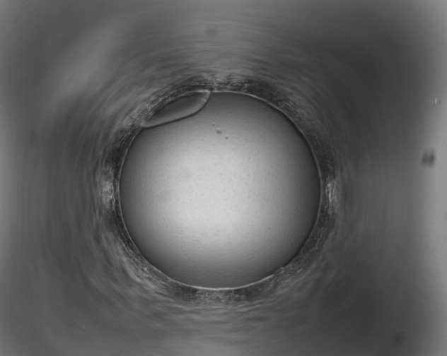 X0000116880963200912291239