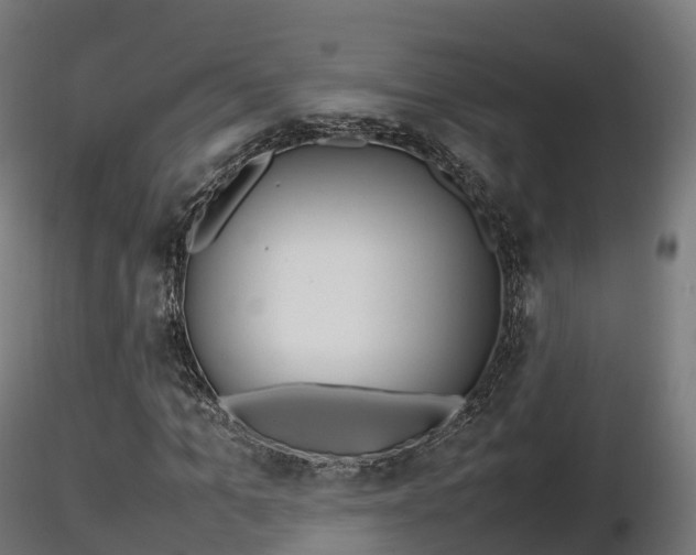 X0000116880965200912291239