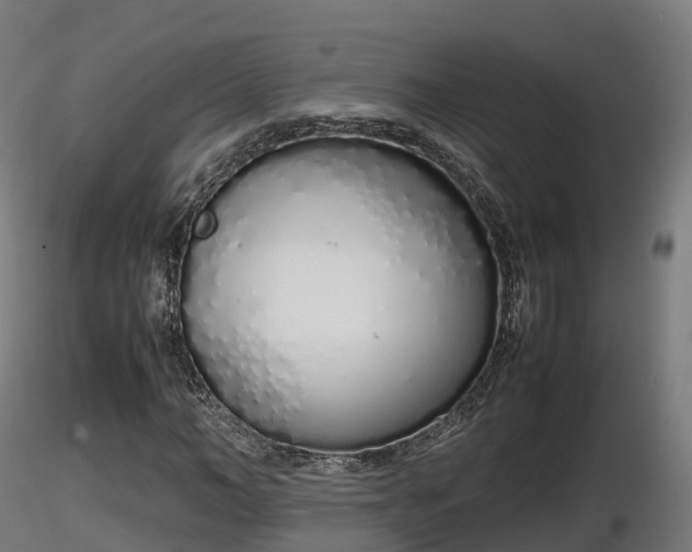 X0000116880966200912291239