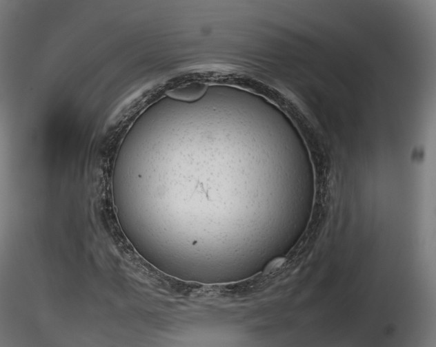 X0000116880967200912291239