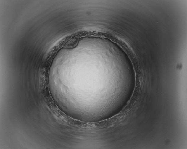 X0000116880968200912291239