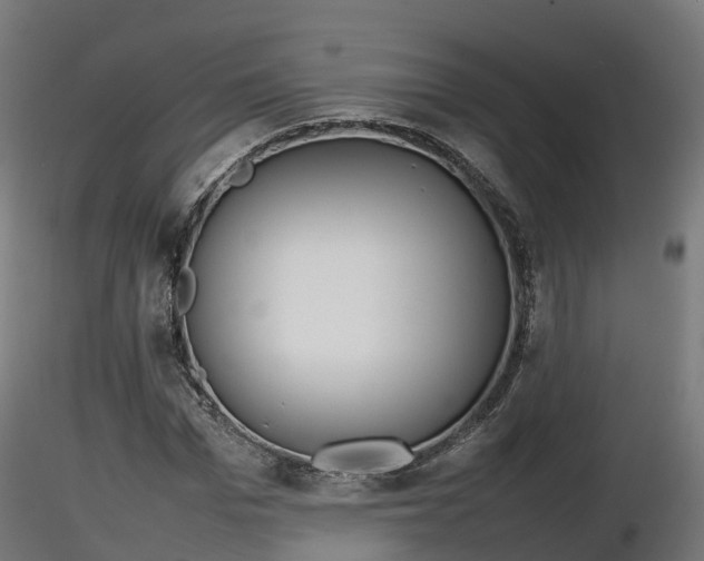 X0000116880969200912291239