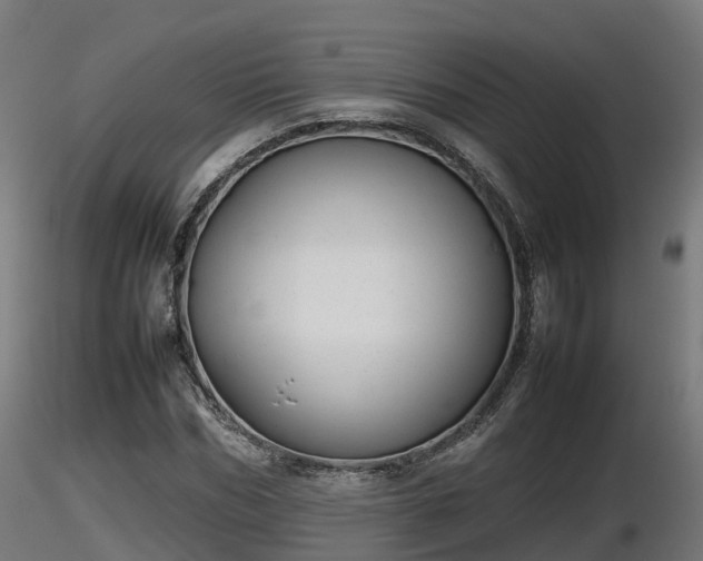 X0000116880970200912291239