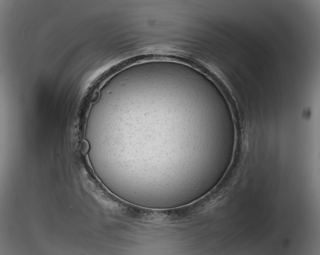 X0000116880971200912291239