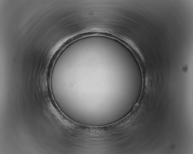 X0000116880972200912291239