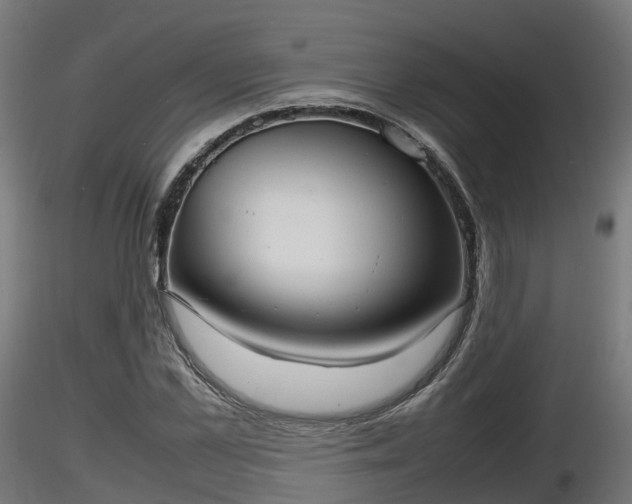 X0000116880973200912291239