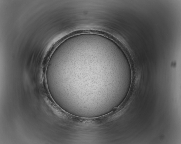 X0000116880974200912291239