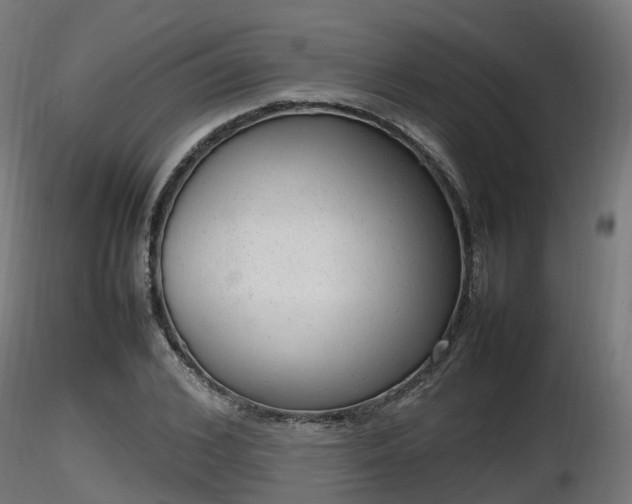 X0000116880976200912291239