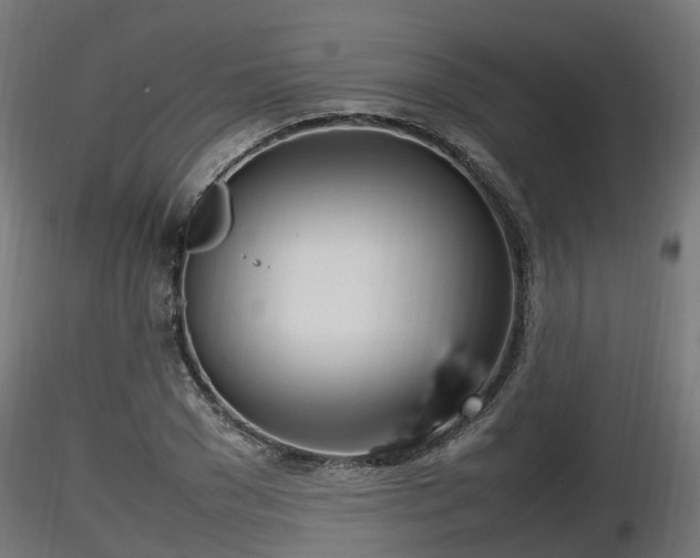 X0000116880977200912291239
