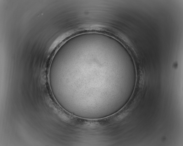 X0000116880978200912291238