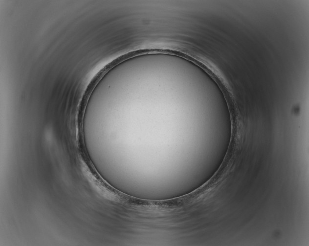 X0000116880980200912291238