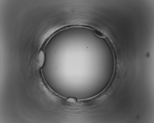 X0000116880981200912291238