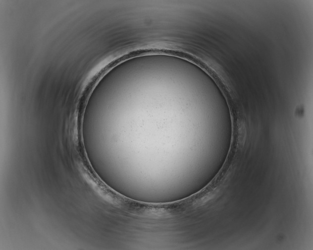 X0000116880982200912291238