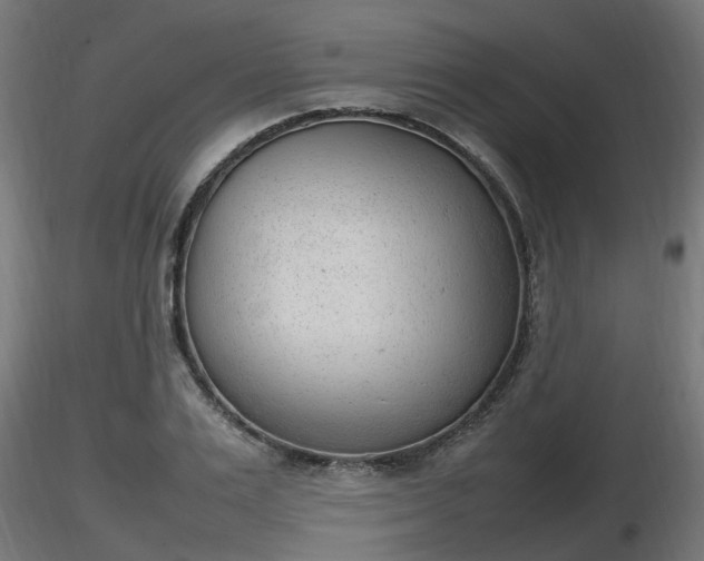 X0000116880983200912291238