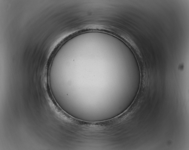 X0000116880984200912291238