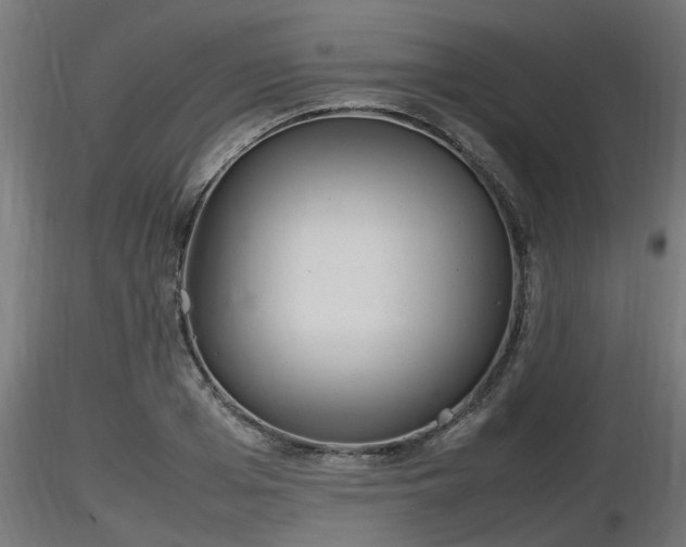 X0000116880985200912291238