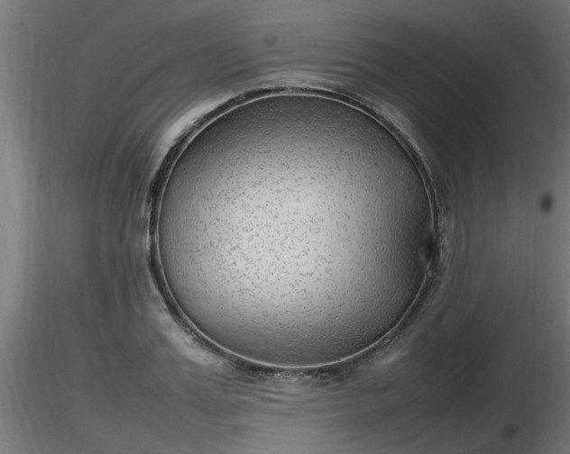 X0000116880987200912291238
