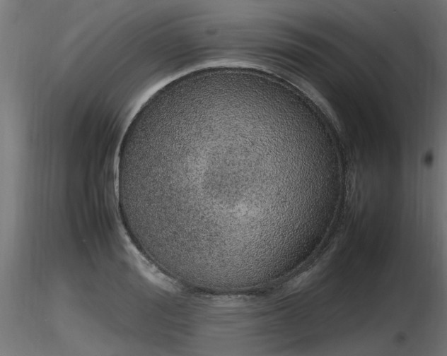 X0000116880988200912291238