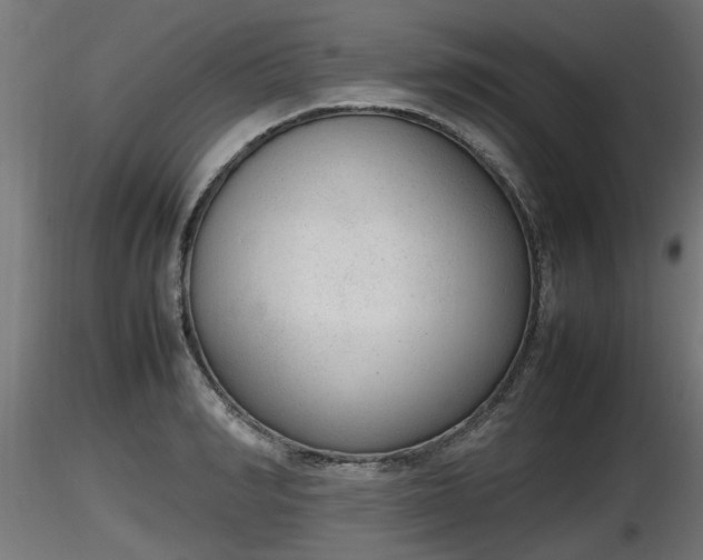 X0000116880990200912291238