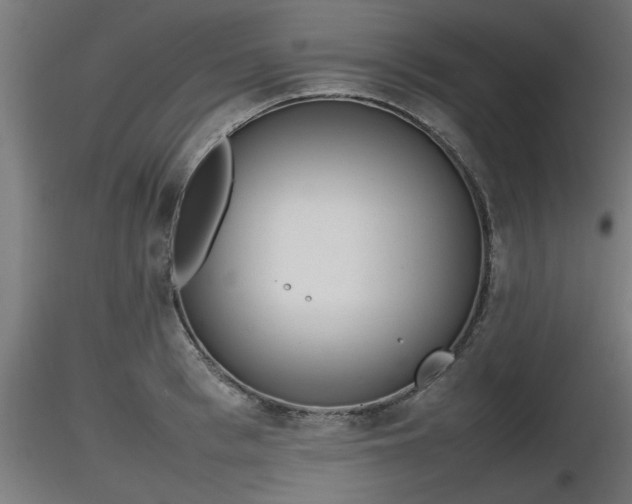 X0000116880993200912291238