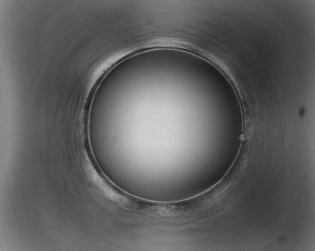 X0000116880995200912291238