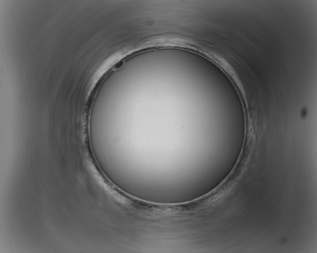 X0000116880997200912291238