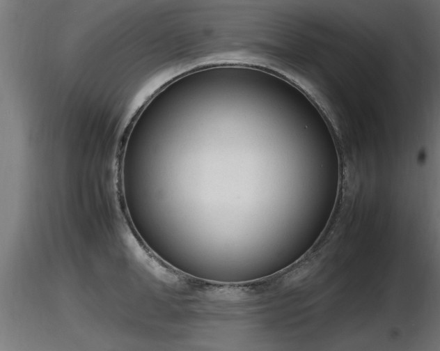 X0000116880998200912291238