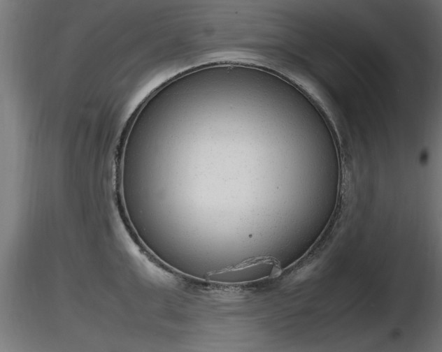 X0000116880999200912291238