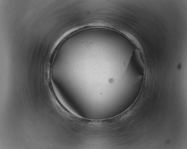 X0000116881000200912291238