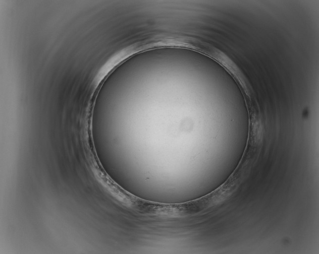 X0000116881002200912291238