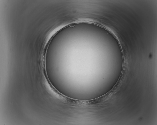 X0000116881003200912291238