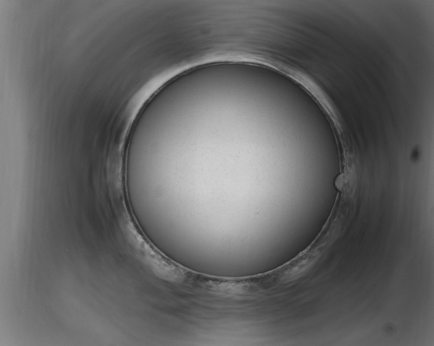X0000116881004200912291238