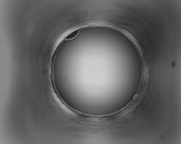 X0000116881005200912291238