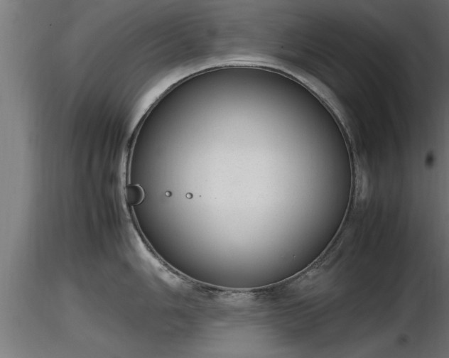 X0000116881006200912291238
