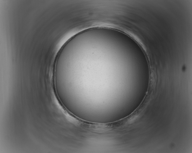 X0000116881007200912291238