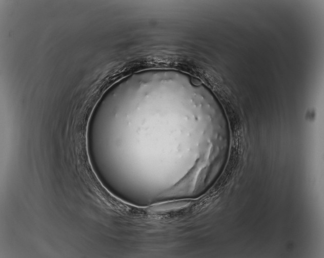 X0000116881009200912291237