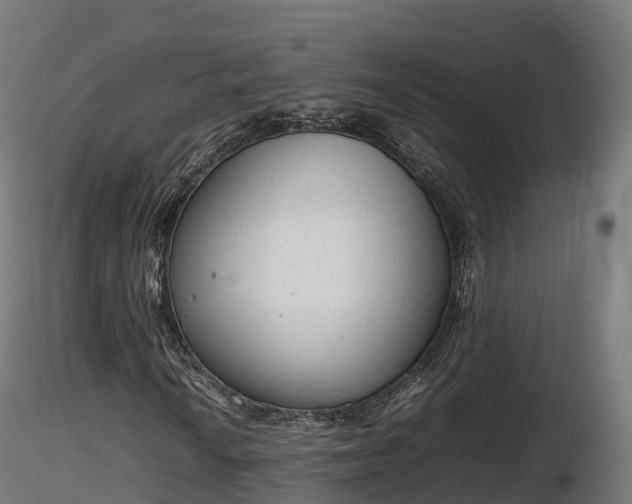 X0000116881010200912291237