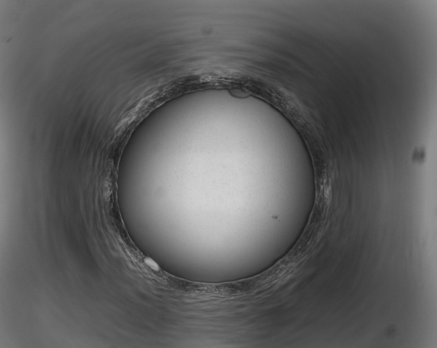 X0000116881012200912291237