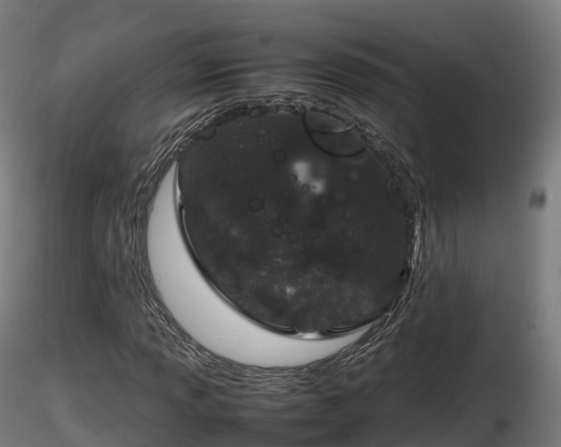 X0000116881013200912291237