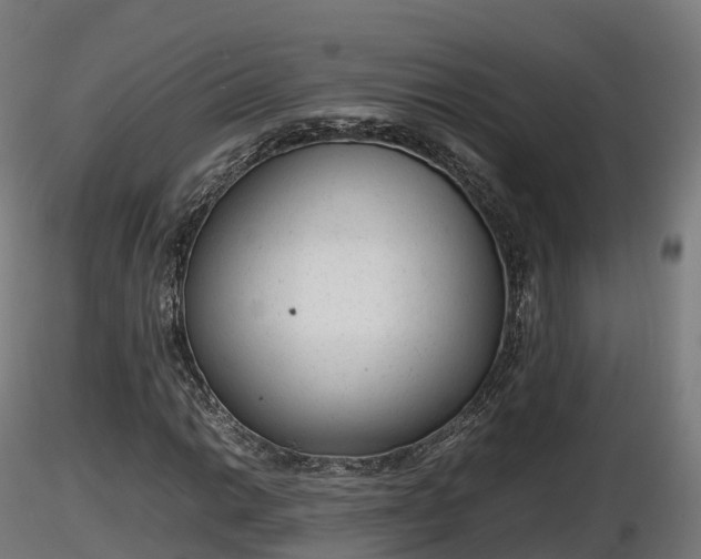 X0000116881014200912291237