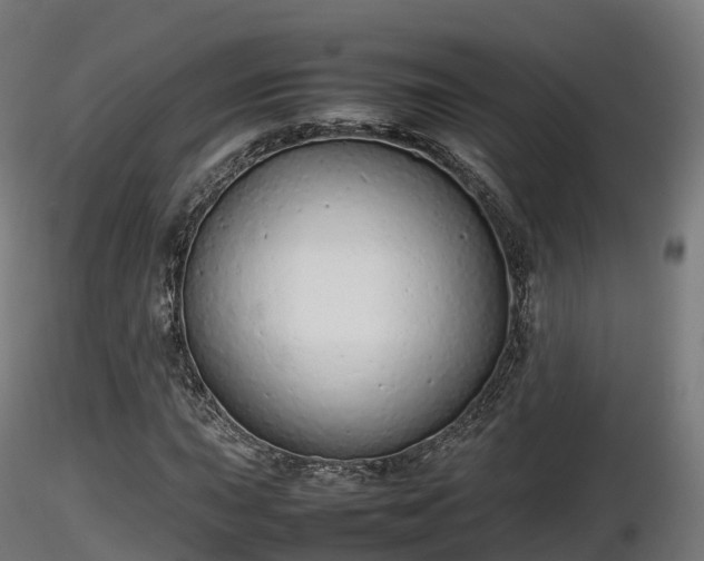 X0000116881015200912291238