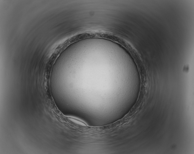 X0000116881016200912291238