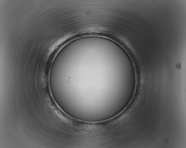 X0000116881018200912291238