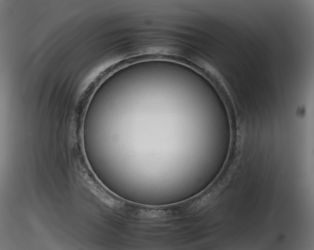 X0000116881019200912291238