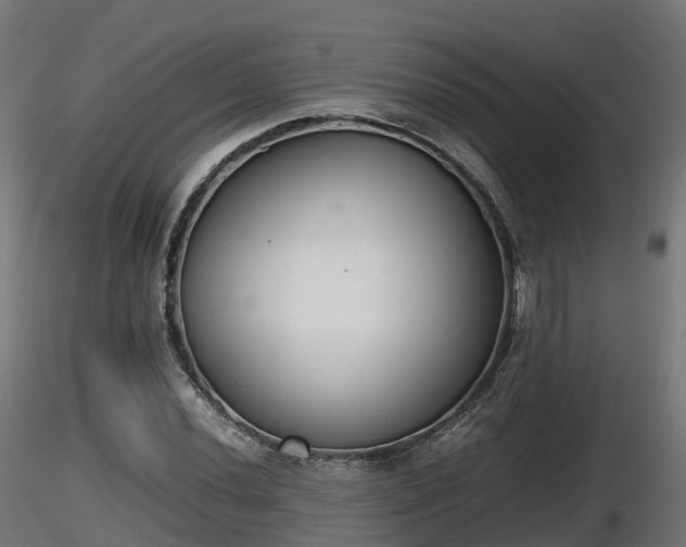 X0000116881020200912291238