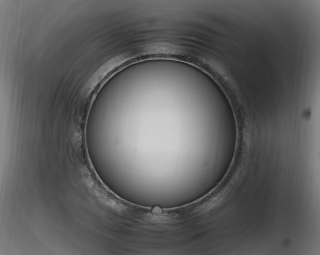 X0000116881025200912291238