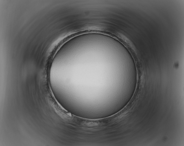 X0000116881027200912291238