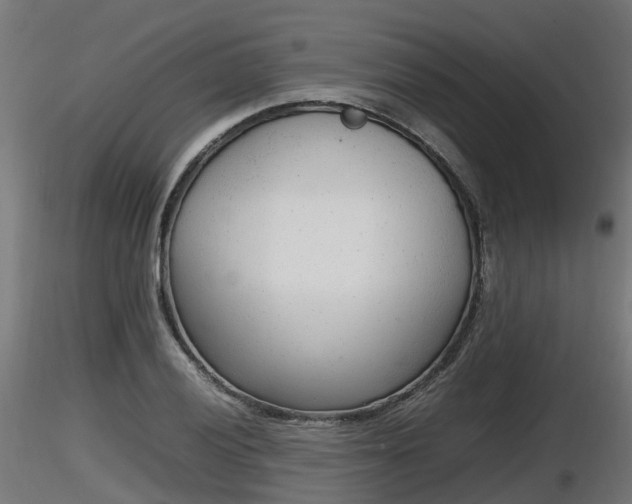 X0000116881028200912291238