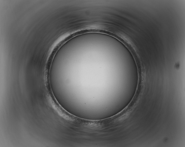 X0000116881029200912291238